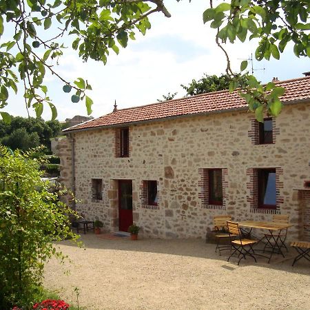 Demeure du Castel Bed and Breakfast Les Châtelliers-Châteaumur Buitenkant foto