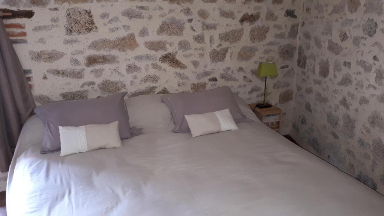 Demeure du Castel Bed and Breakfast Les Châtelliers-Châteaumur Buitenkant foto