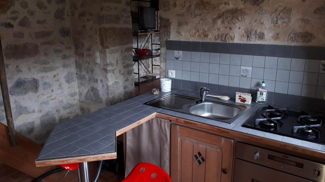 Demeure du Castel Bed and Breakfast Les Châtelliers-Châteaumur Buitenkant foto